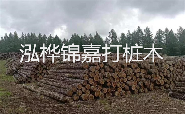 選擇紅磚護(hù)坡，打造獨(dú)特的美麗景觀