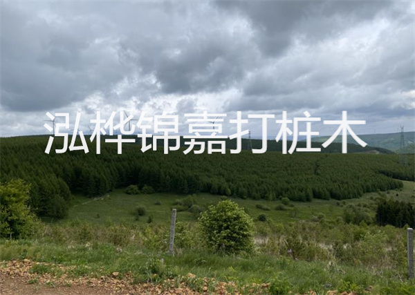 松木樁能重復(fù)施工么？