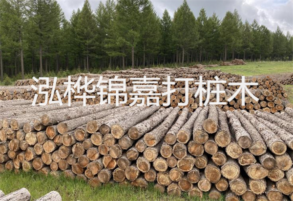 松木樁能施工嗎？探究視頻揭秘真相！