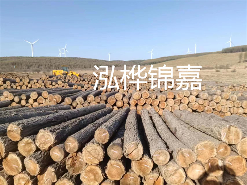 溫州松木樁施工廠家——為您打造堅(jiān)固穩(wěn)定的建筑基礎(chǔ)！